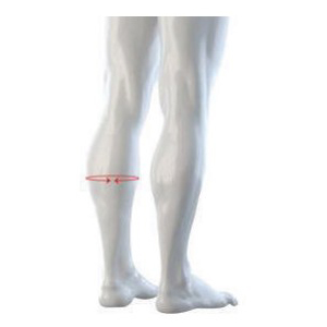 Around Calf Diagram