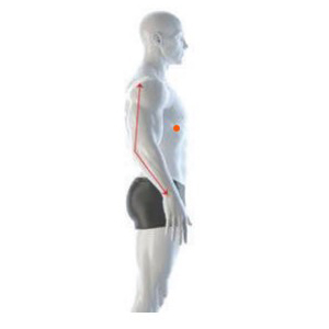 Curved Sleeve Length Diagram