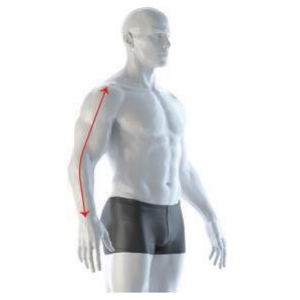 Straight Arm Length Diagram