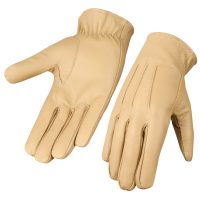 Dressing-Gloves-010a