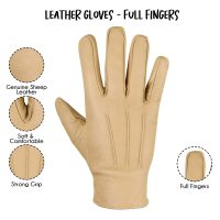Dressing-Gloves-010d