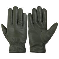 Dressing-Gloves-01a