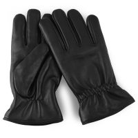 Dressing-Gloves-02e