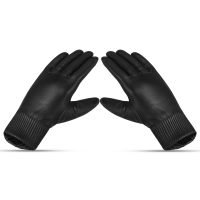 Dressing-Gloves-03d