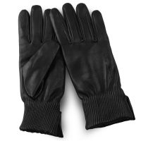 Dressing-Gloves-03e