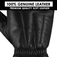Dressing-Gloves-05e
