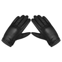 Dressing-Gloves-06d