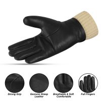 Dressing-Gloves-07c