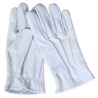 Dressing-Gloves-08a