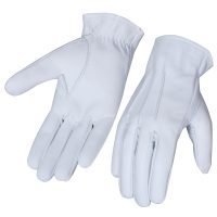 Dressing-Gloves-08b
