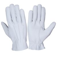 Dressing-Gloves-08c