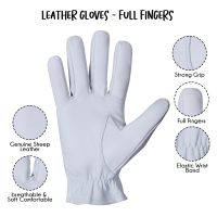 Dressing-Gloves-08e