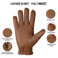 Dressing-Gloves-09a