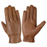 Dressing-Gloves-09d