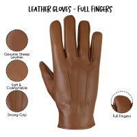 Dressing-Gloves-09e