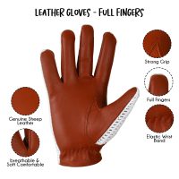 Fashion-Gloves-011e